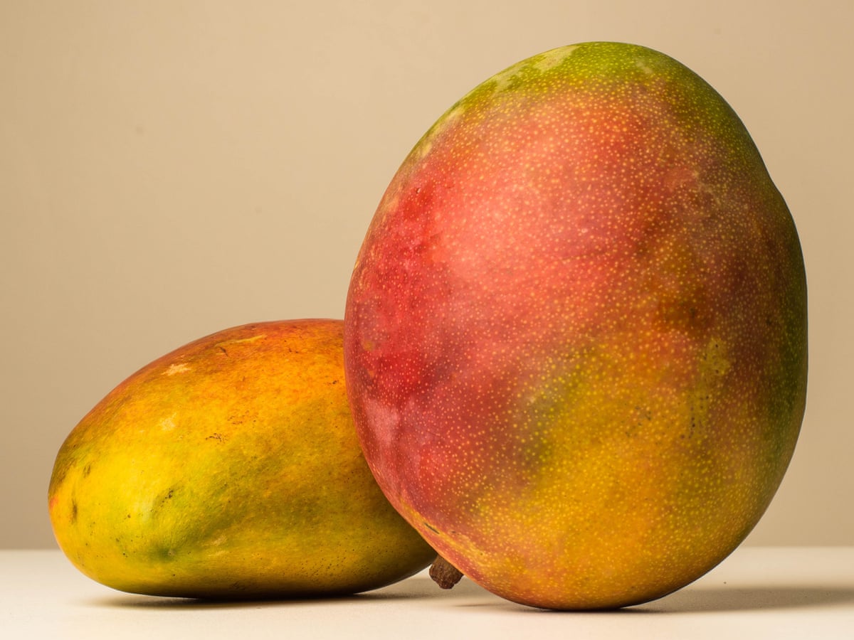 Bite it, squeeze it, suck it… The right way to eat mango | Nikesh Shukla | Life and style | The Guardian Bite it, squeeze it, suck it… The right way to eat mango | Nikesh Shukla | Life and style | The Guardian