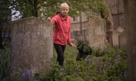 Dr Sarah Hudson, a volunteer for the Bumblebee Conservation Trust, counts bees at the Bunhill Fields cemetery in London.