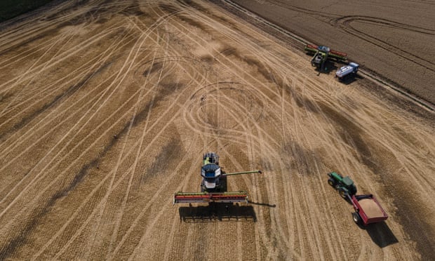 Wheat being harvested in the Ternopil region of Ukraine