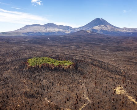 Two wildfires burned through more than 3,300 hectares of subalpine vegetation on the Central Plateau in November and December 2025, both caused by vehicles on State Highway 47 creating sparks.