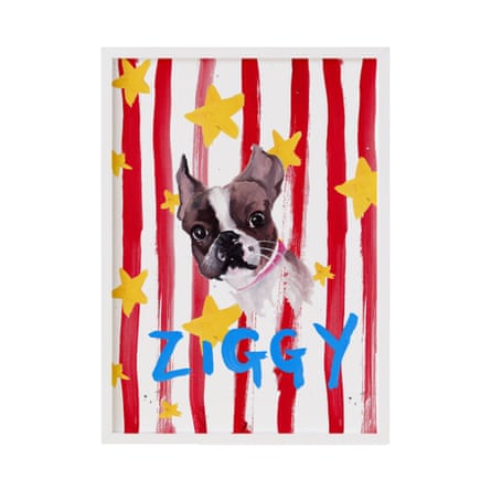 Personalised Pet Portraits