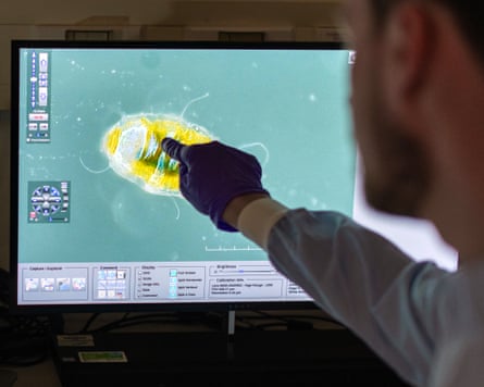 Morek points to an image on a screen