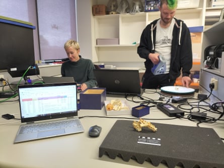 Erin Mein and Jacob van Zoelen scan specimens at the Australian Museum