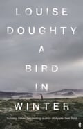 A Bird in Winter Louise Doughty