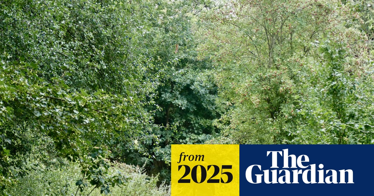 Human connection to nature has declined 60% in 200 years, study finds
