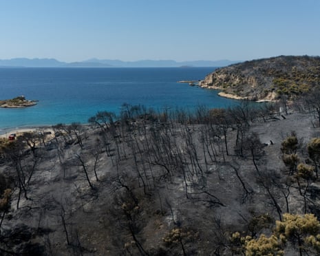 A drone view of a burned forest area following a wildfire in Peristeria area, Salamina island, near Athens, Greece.