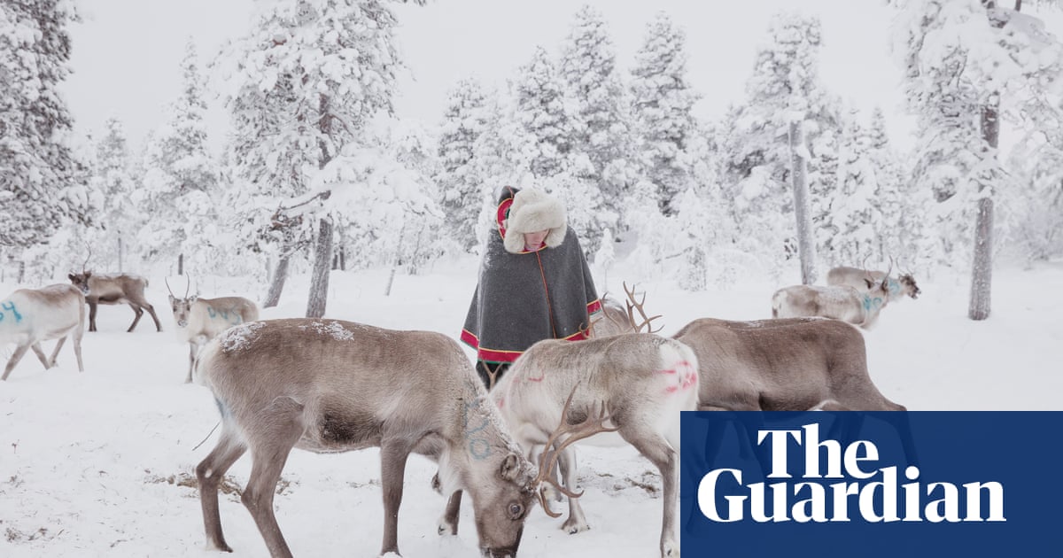 Developer contracts with Sámi reindeer herders ‘harmful’ to Indigenous people | Sweden