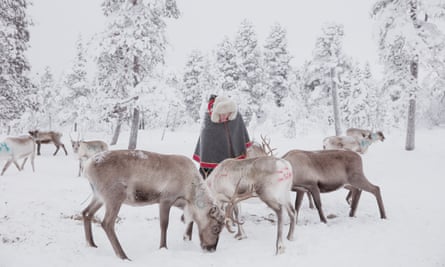 Jussa Seurujärvi feeding reindeer.