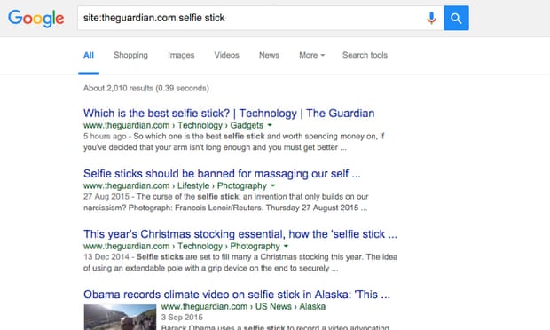 Google site search