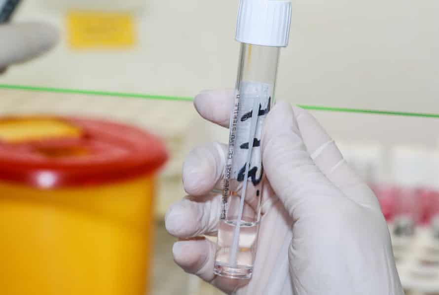 A lab worker holds a test tube before running a PCR test