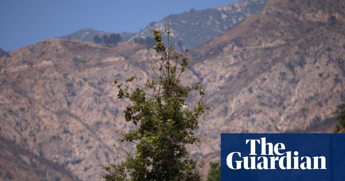 LA's main utility to pay wildfire victims although cause of blaze undetermined