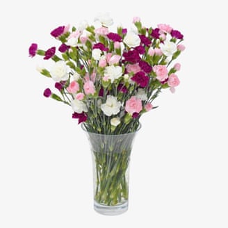 Carnations in a vase from Scilly Flowers.