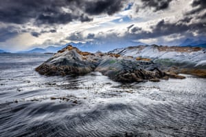Seals resting on a rocky islet in the Beagle Channel.