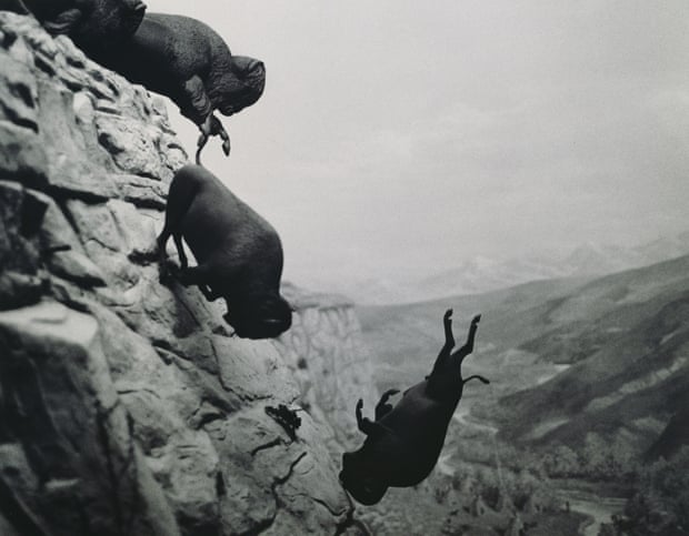 David Wojnarowicz’s Untitled (Falling Buffalo) 1988-89