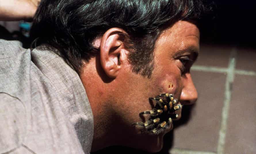 William Shatner succumbs to a tarantula in Kingdom of the Spiders (1977).