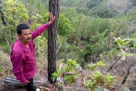A man leans against a tree at the edge of a steep drop into forest.