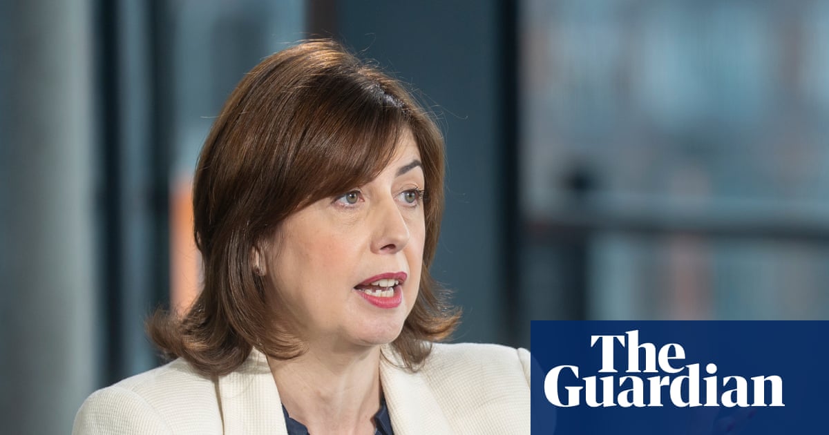 Lucy Powell urged ministers to rethink legal action against Labour donor's firm