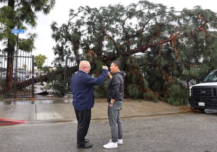 A toppled tree after a tornado touched down and ripped up building roofs in a Los Angeles suburb on Wednesday in Montebello, California.