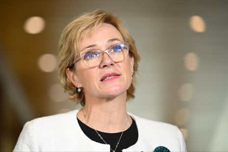 Independent member for Warringah, Zali Steggall.