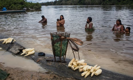 Poti-Kro, Para, Brazil: Much daily activity happens at the riverside. Here, Xikrin women combine washing harvested yucca with bathing. 