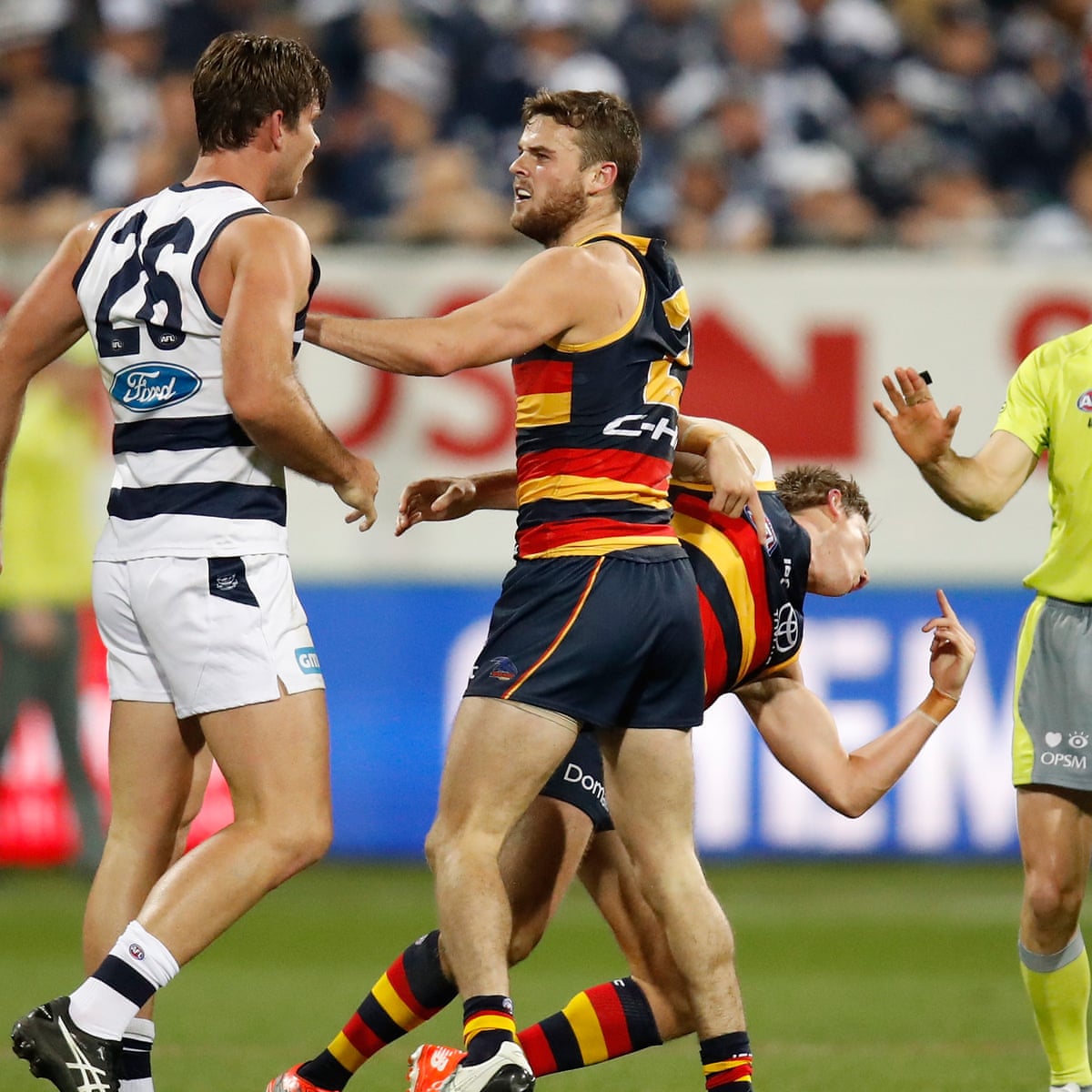 Blame Tom Hawkins For His Jumper Punch Afl Ban Says Mrp S Bartel Afl The Guardian
