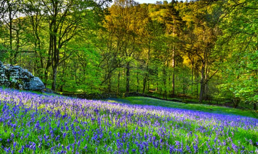Hardcastle Crags, West Yorkshire
