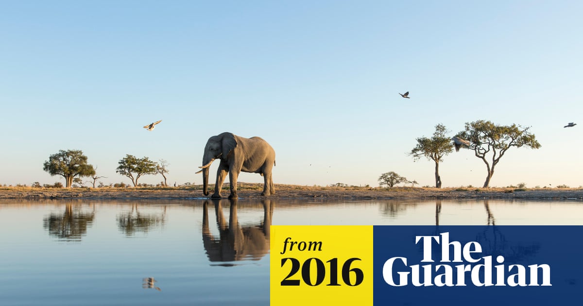 Safaris: your game, your rules – an independent tour of Botswana