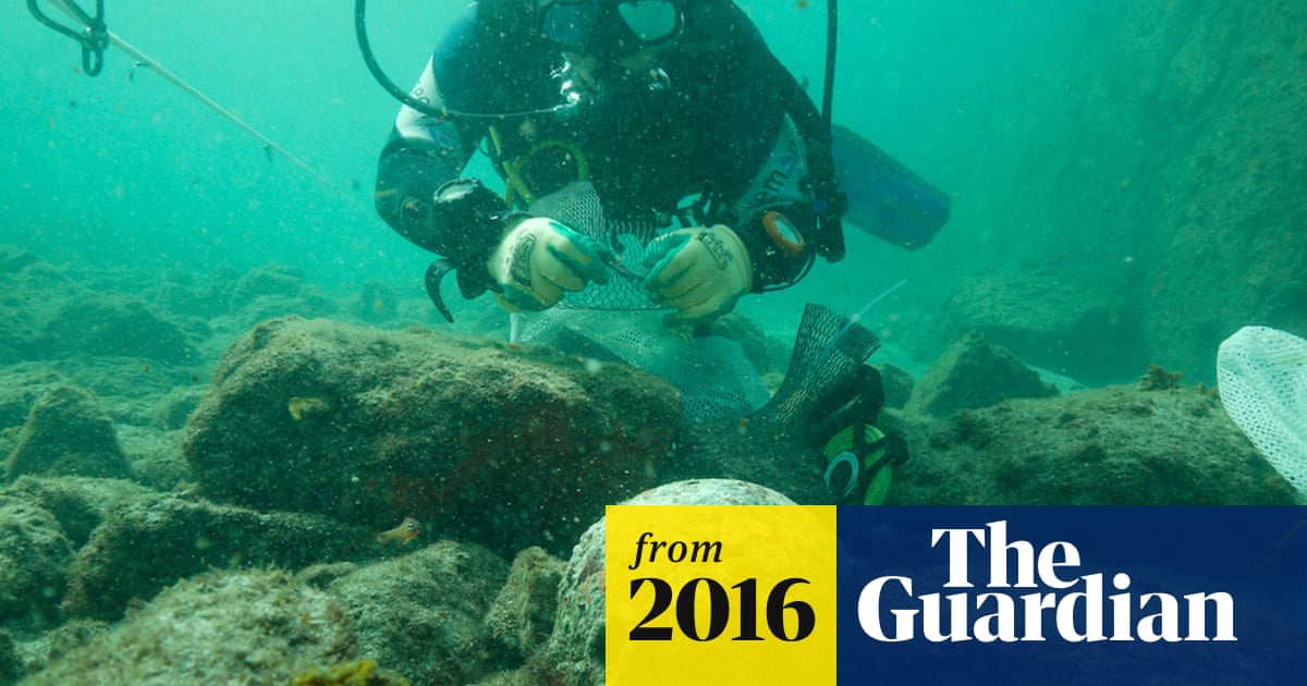 Marine archaeologists discover rare artefacts at 1503 shipwreck site