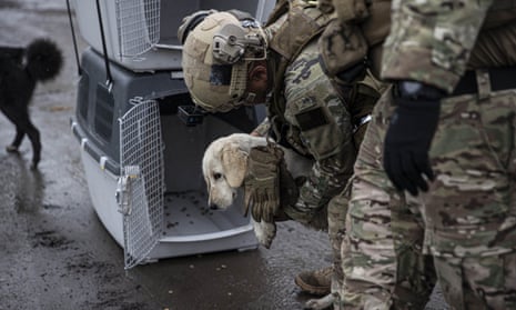 Ukrainian soldiers with stray animals in Kupiansk, Kharkiv Oblast, Ukraine.