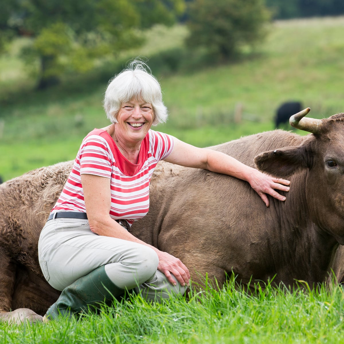 Cows Are Loving Intelligent And Kind So Should We Still Eat Them Farm Animals The Guardian