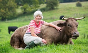 Rosamund Young with Dot, one of the 113 grass-fed cows she farms at Kites Nest on the flanks of the Cotswolds.