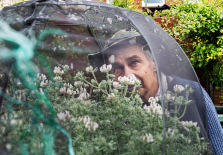 Martin White inspecting his homemade butterfly breeding pods.