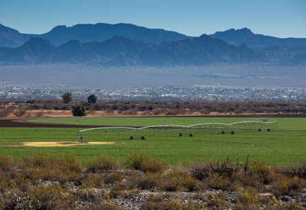Large-scale farming of hay and alfalfa using groundwater pulled from the Colorado River.