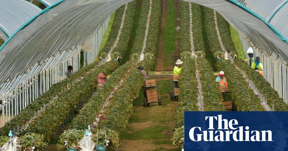 Nationals MPs snub launch of farming group's climate change report - The Guardian