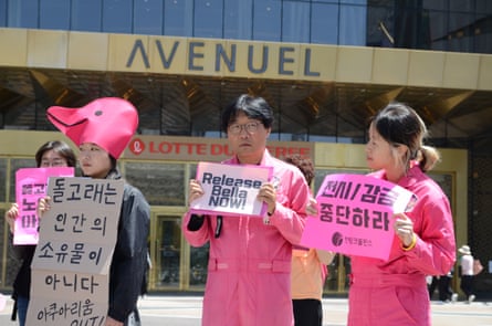 Vijf Koreaanse demonstranten, twee in roze jumpsuits, houden borden vast in het Engels en Koreaans, met slogans als "Laat Bella nu vrij".