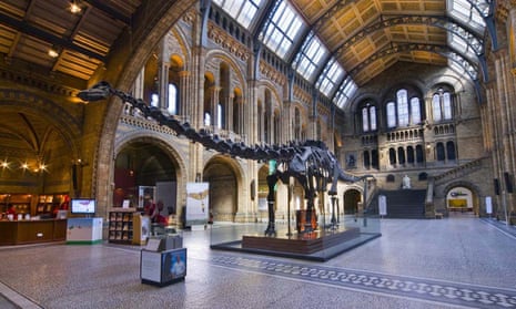 Dippy the dinosaur at the Natural History Museum in London