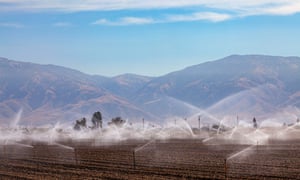 Crops being irrigated near Bakersfield, Kern County, California, US