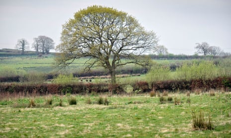 A cluster rewilding project across three farms near Tiverton, Devon