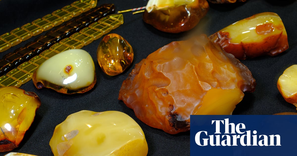 Amber rush: spring storms bring semiprecious stones to British coast | North Yorkshire Amber rush: spring storms bring semiprecious stones to British coast | North Yorkshire