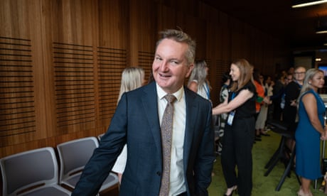 The energy minister, Chris Bowen