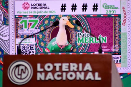 Merlín the Mexican duck is celebrated on a commemorative national lottery ticket