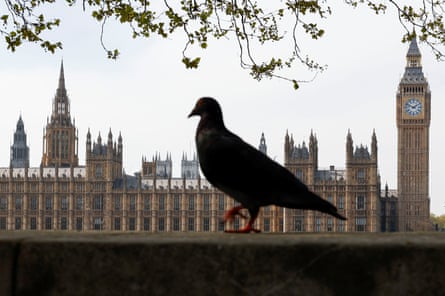 A pigeon sits on a wall near the Palace of Westminster