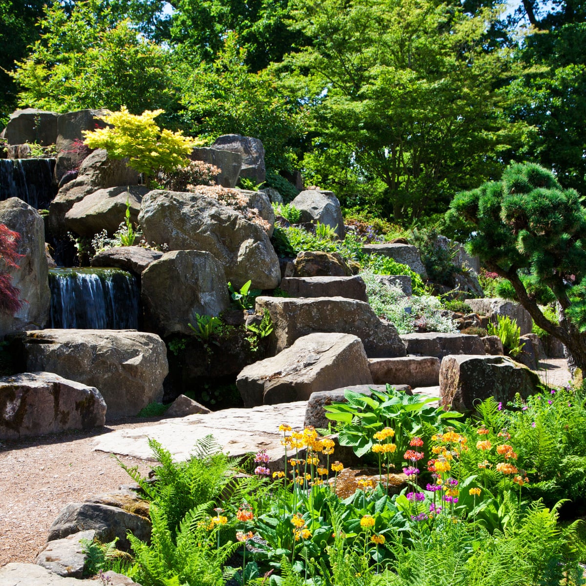 What Should A Rockery Look Like at Jay Hunter blog
