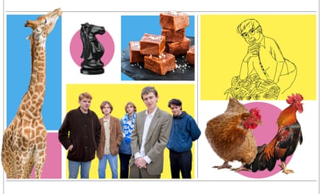 A giraffe; a chess knight; fudge; a line drawing; chickens; the band Shame