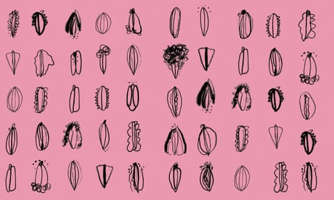 How Artists and Media Are Doing Away With Vulva Shame