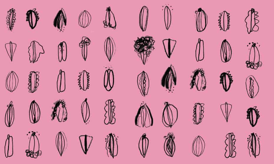 An illustration of dozens of vulvas of different shapes and sizes on a pink background