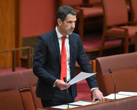 Liberal Senator Alex Antic in the Senate chamber.
