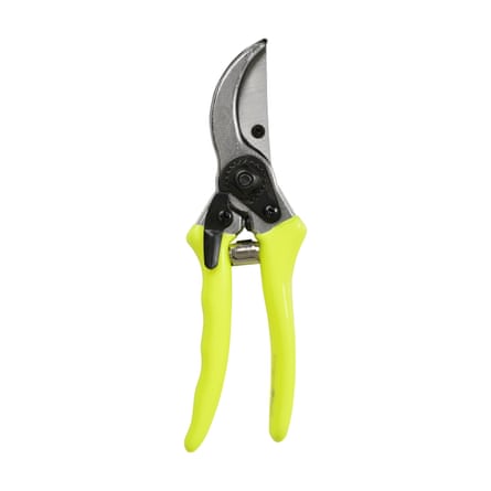 Pair of secateurs with bright yellow handles