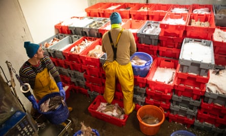 Fish are stored on ice in the hold.