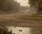 Murray-Darling Crisis Deepens: NSW Funding Snub Threatens River Restoration, Mass Fish Deaths Loom